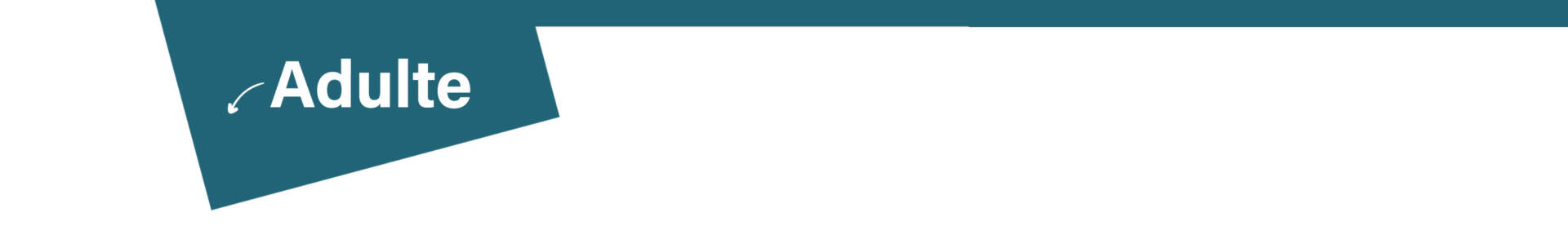 new-adulte-2 new-adulte-2